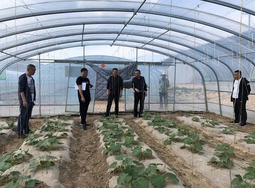 学党史砥砺初心 强技术服务三农——市农业技术推广中心站扎实开展“我为农民办实事”实践活动