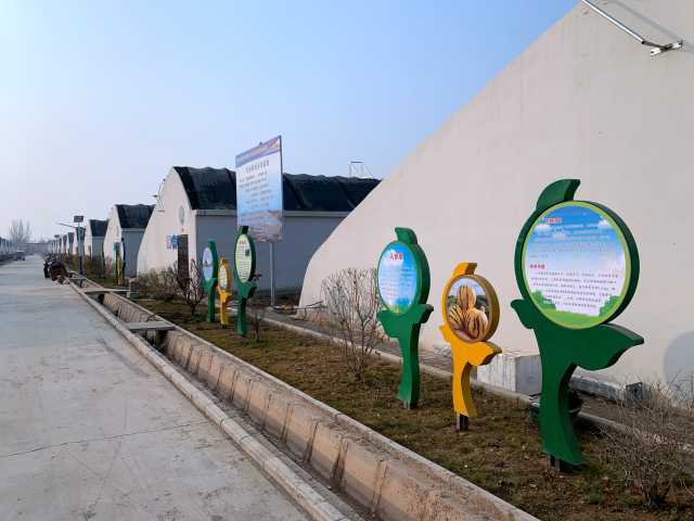 每日一景 山水沟村的美丽蝶变——产业助力发展，农业技术推广共建美丽乡村