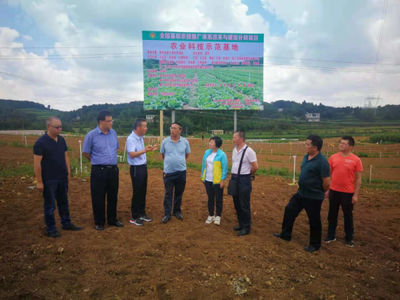 省农业科技发展中心主任潘尔珣深入毕节调研，指导基层农技推广补助项目建设工作